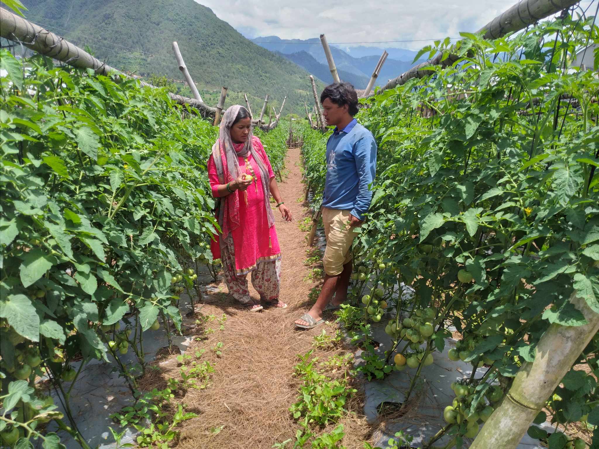 Generating Opportunity in Agriculture and Livelihoods (GOAL-II) Project